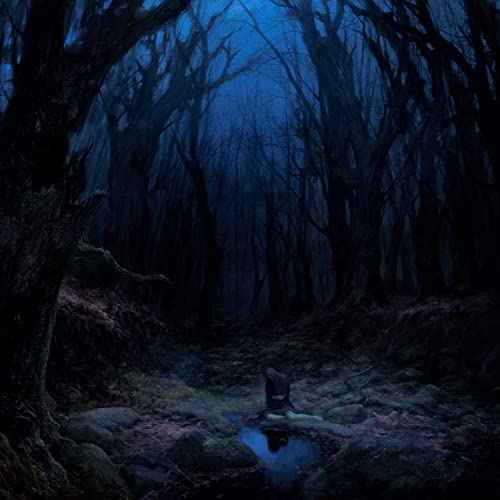 WOODS OF DESOLATION - Torn Beyond Reason Re-Release DIGI